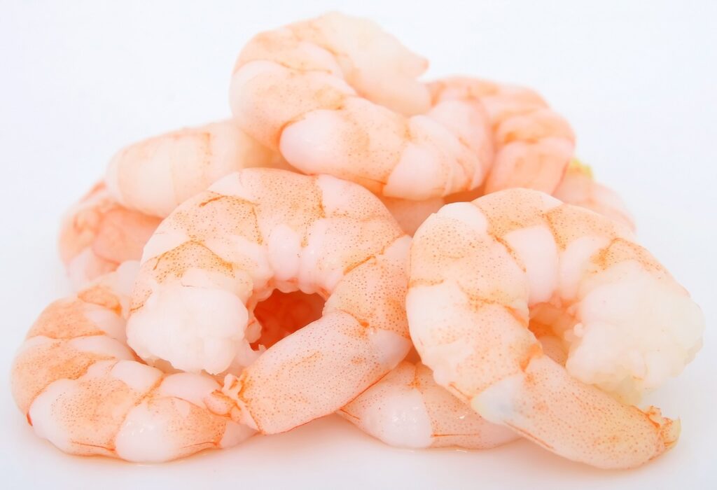 prawns, shrimp, food-1239307.jpg